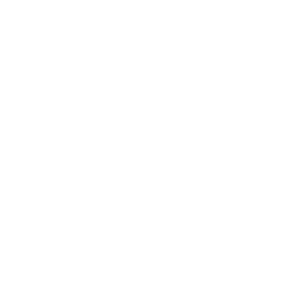 CHAS Badge logo.